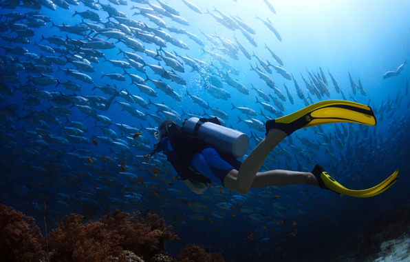 Wallpaper underwater landscape diving diving diver diving suit
