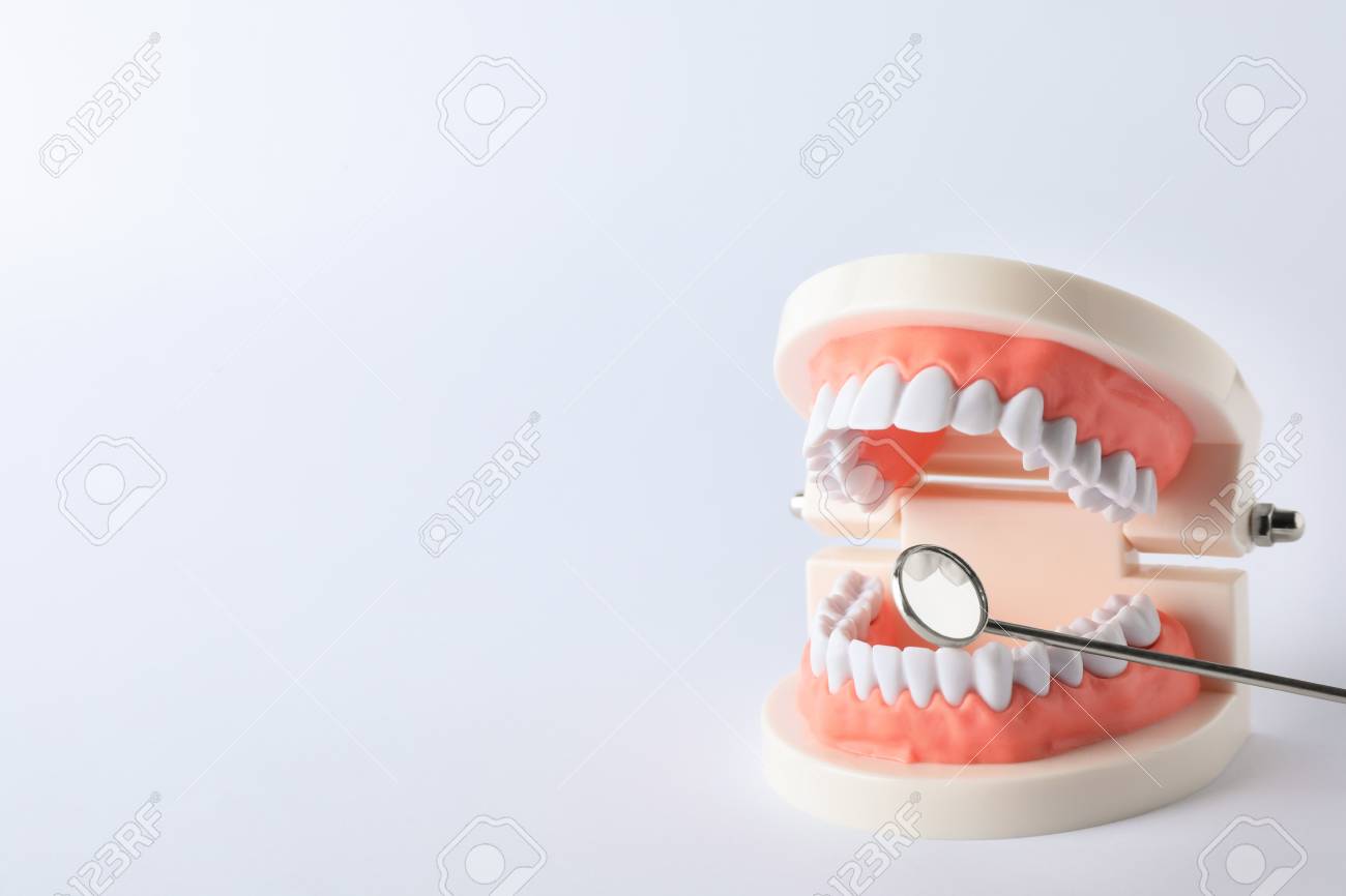 Typodont Teeth And Dentist Mirror On White Background Space
