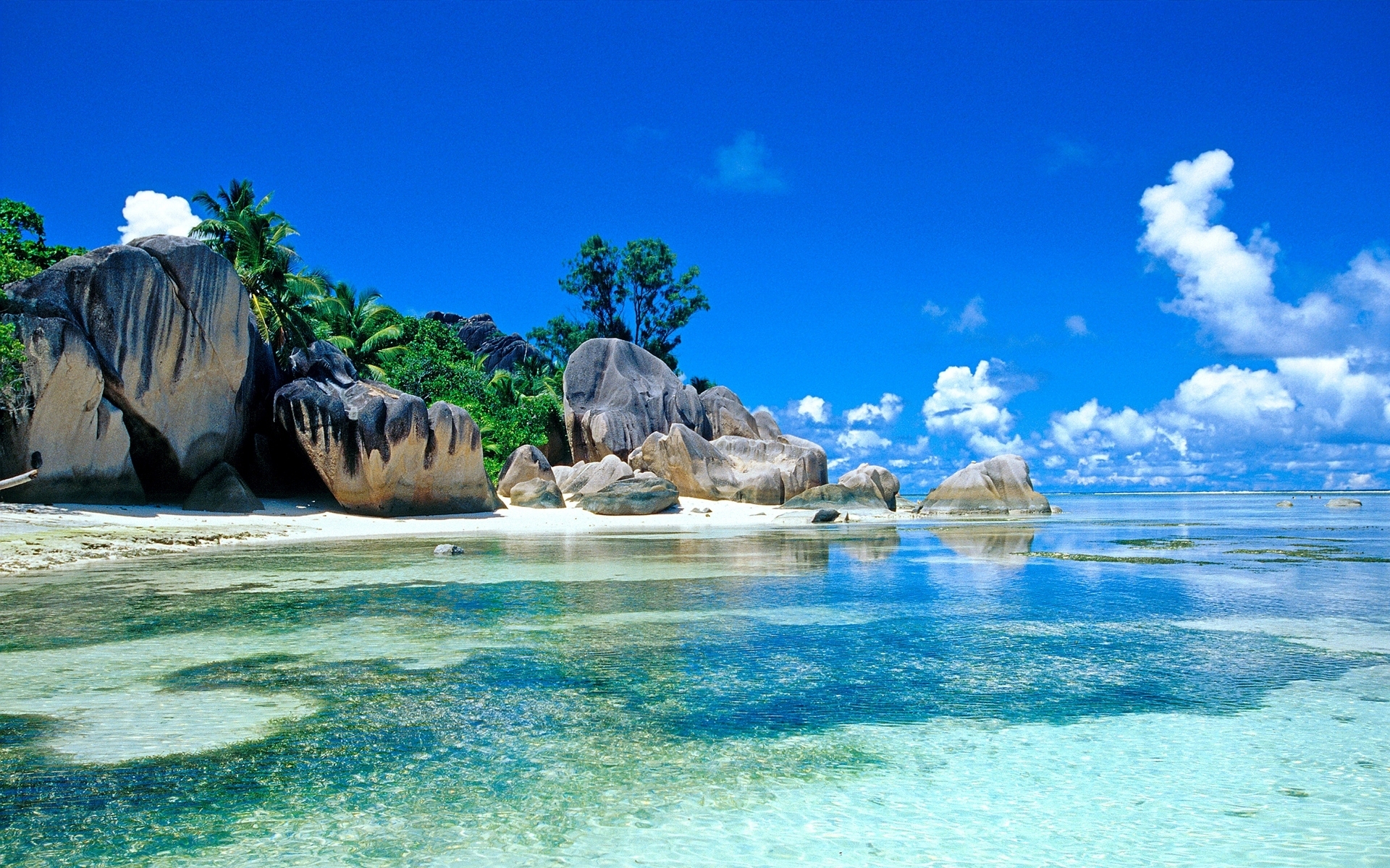 Desktop Seychelles Tropical Sea Palm Trees HD Wallpaper