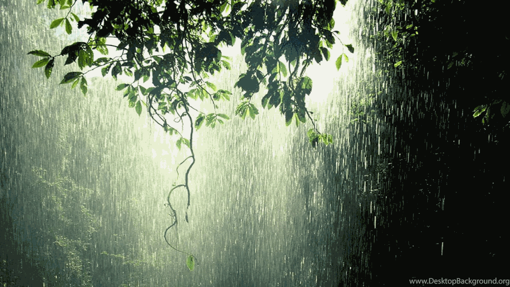 Desktop Background Rain Posted By Michelle Simpson