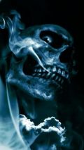 Download skull in smoke 360 X 640 Wallpapers   1208174
