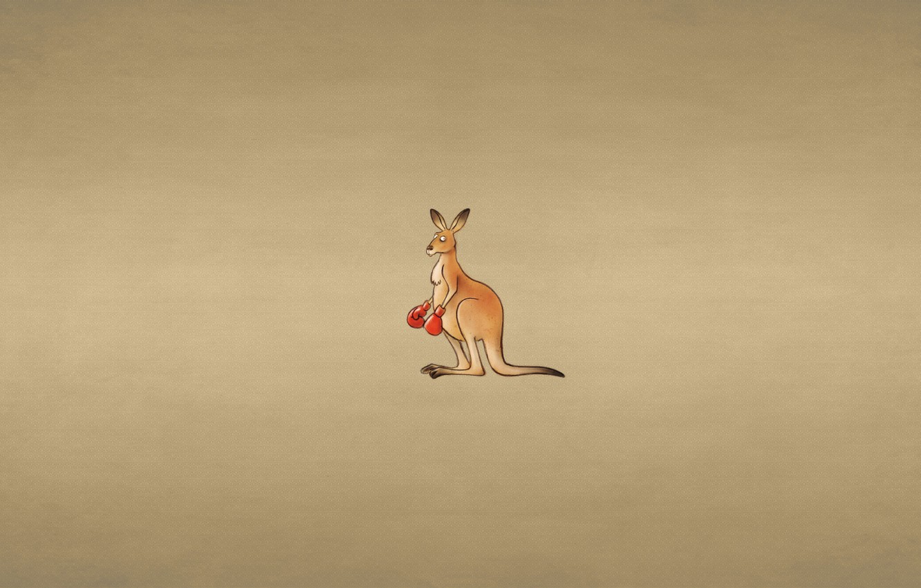 Wallpaper Animal Minimalism Kangaroo Boxing Gloves