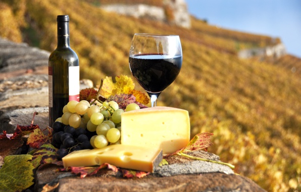 Wallpaper wine red wine glass grapes bottle autumn cheese 596x380