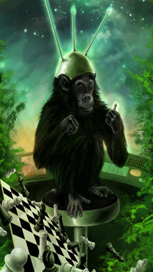 Monkey Chess Animal iPhone Wallpaper S 3g