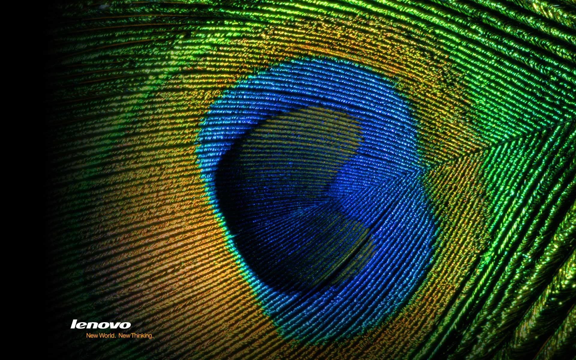 Lenovo Wallpaper Theme