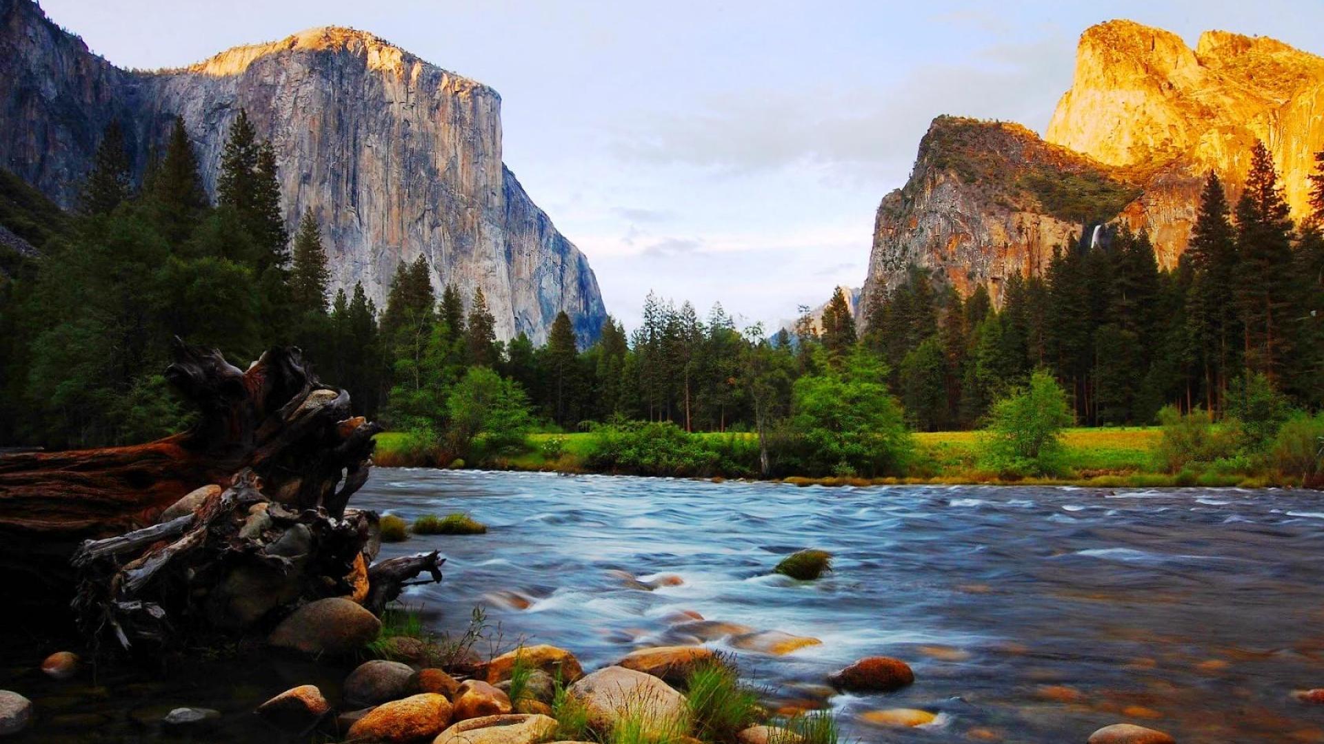 El Capitan And Bridalveil Yosemite National Park California Wallpaper