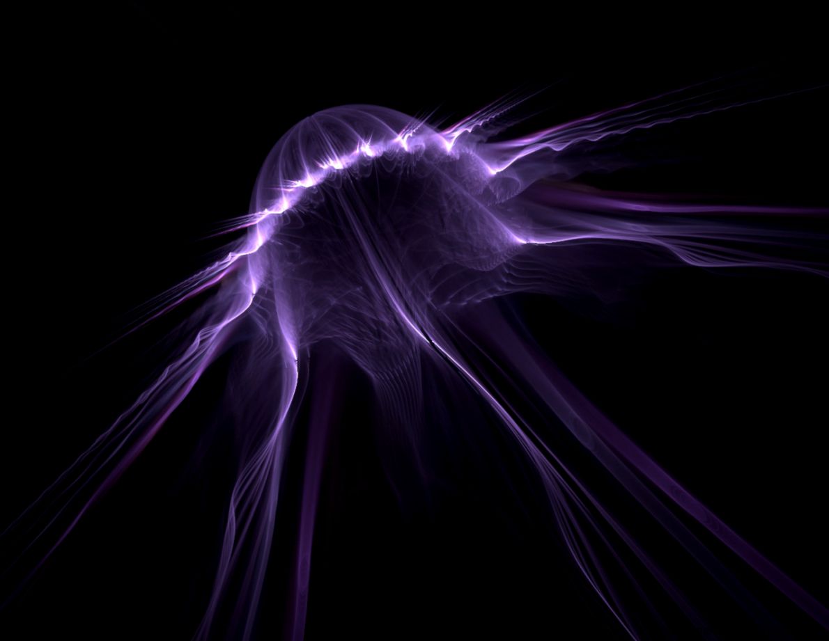 Jellyfish Desktop Wallpaper Photos New