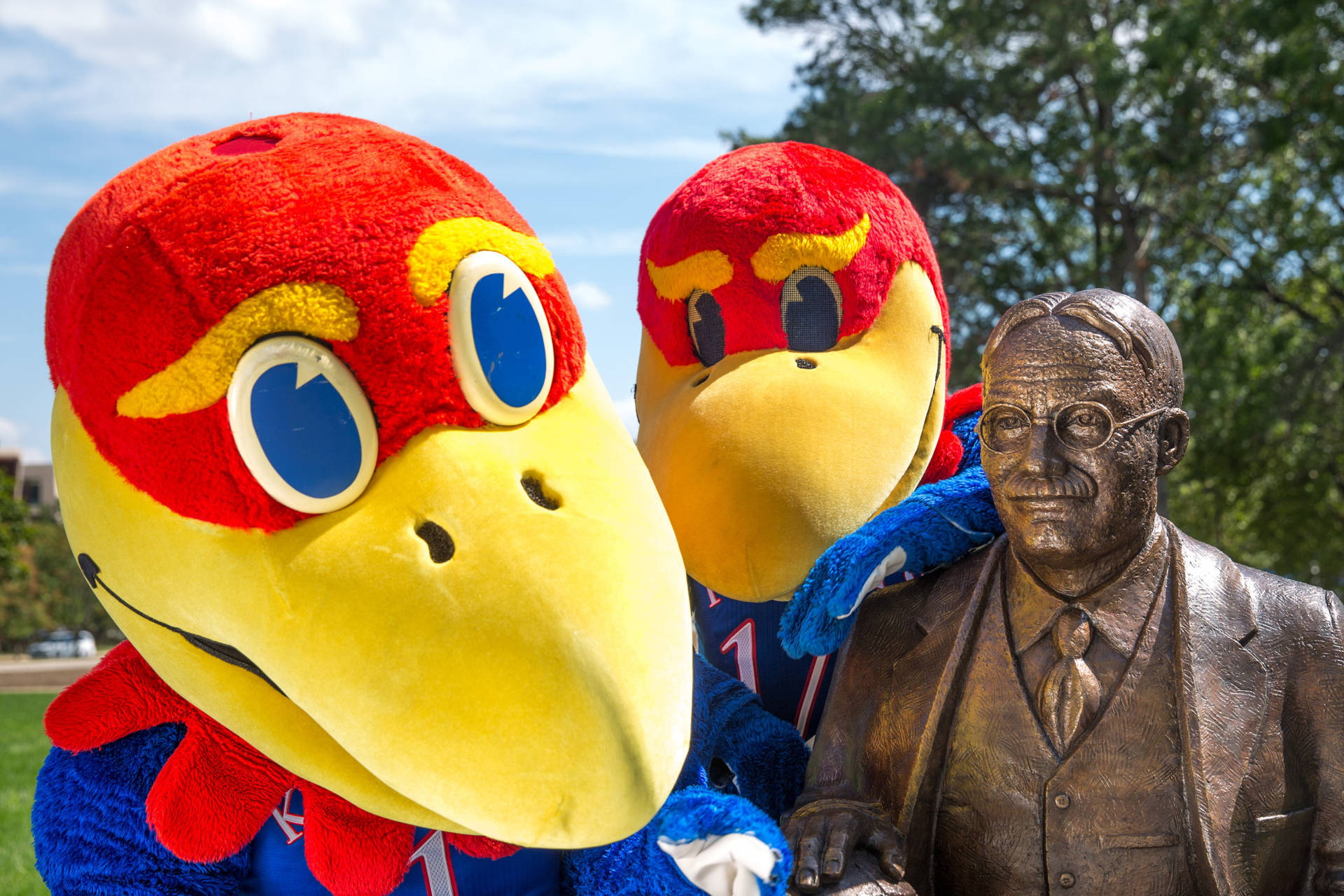 University Of Kansas Wallpaper
