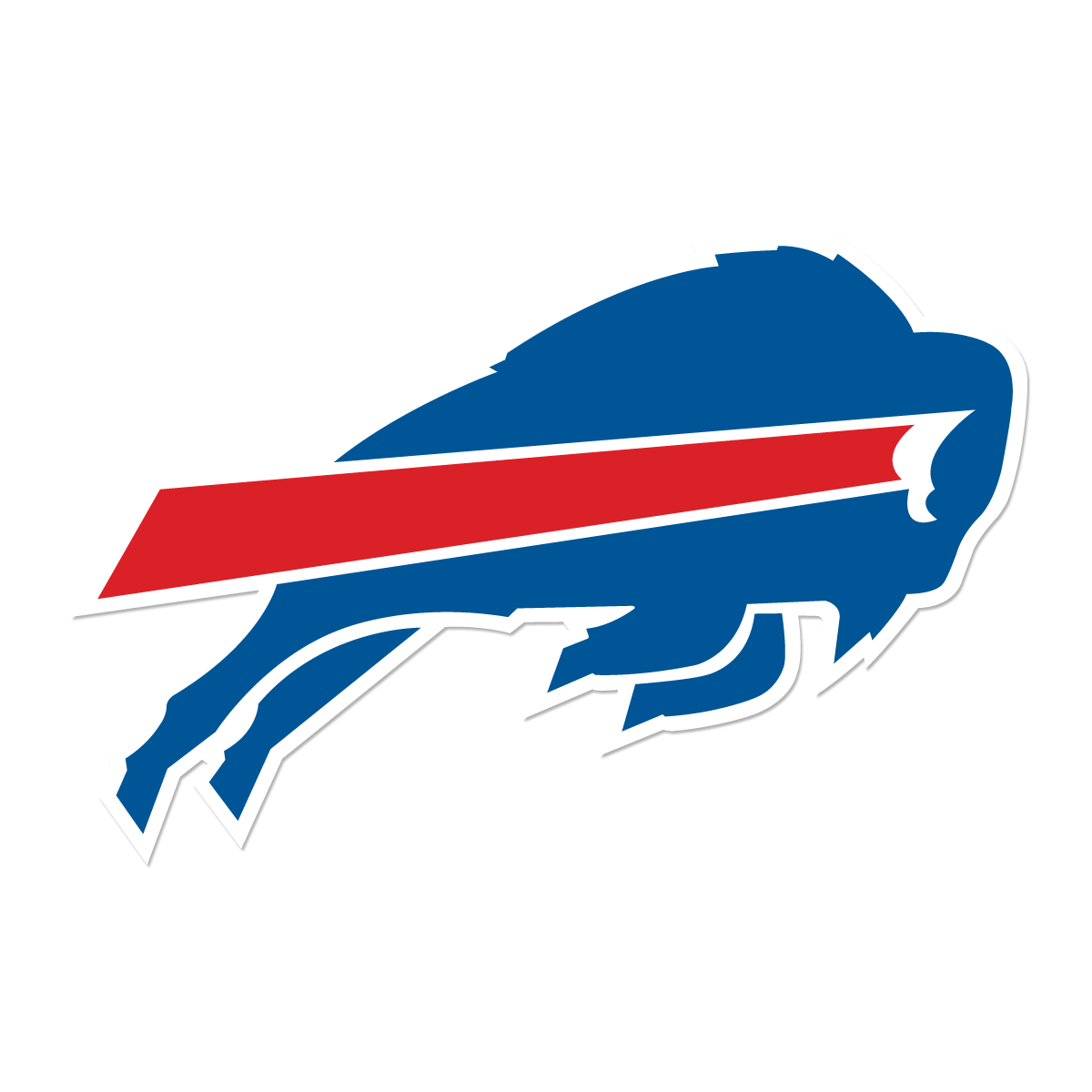 Buffalo Bills Fans Contests