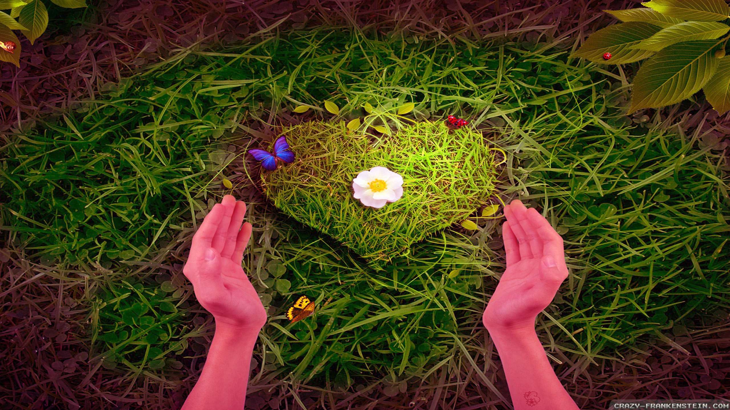 Nature Love Wallpaper HD