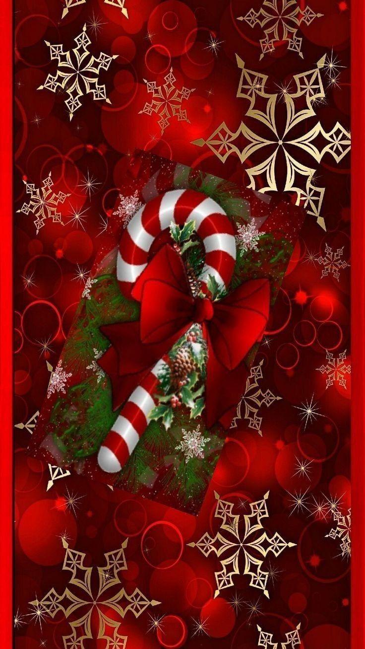 Flower Love Merry Christmas Image Pictures