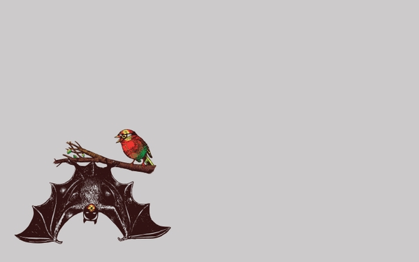 Batman Robin Dc Ics Birds Bats Wallpaper