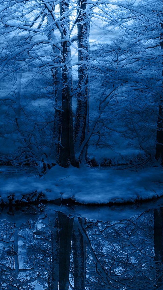 dark snowy woods wallpaper