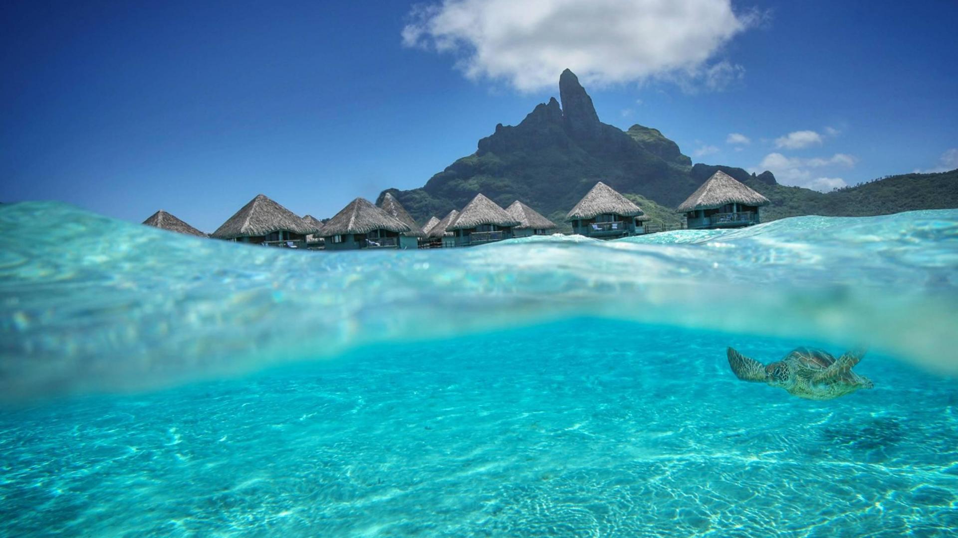 Blue Lagoon Dream Island Bora Tahiti Hq Wallpaper