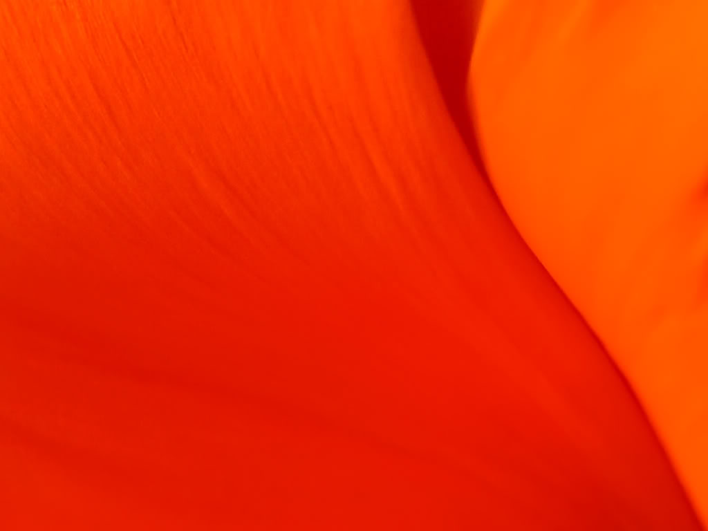 Orange Color Wallpaper Desktop Background
