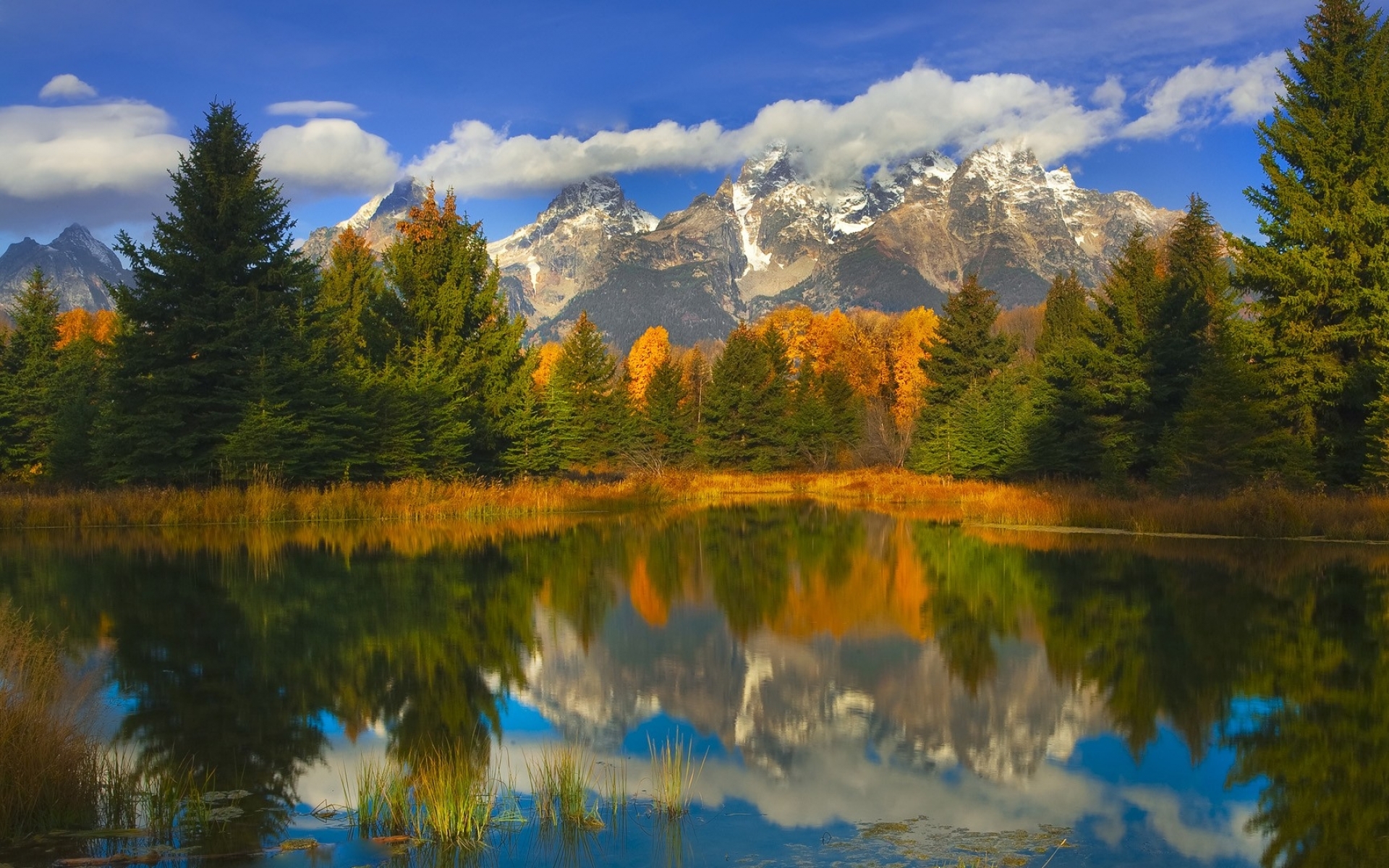 Autumn Season Wyoming Grand Teton National Park