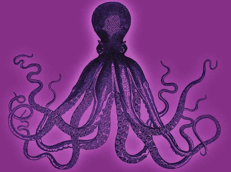 Cute Octopus Wallpaper Purple