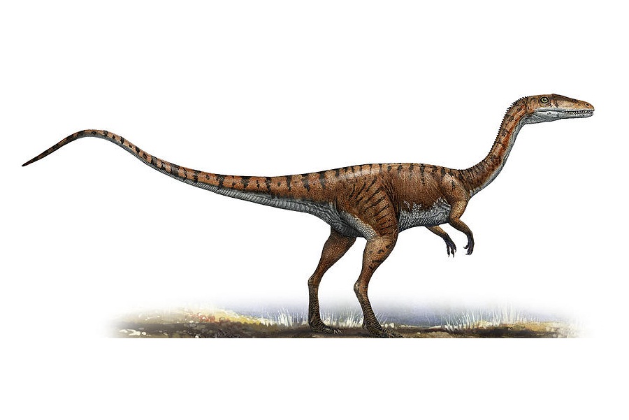 Ideas For New Dlc Triassic Pack Jurassic And Herbivore