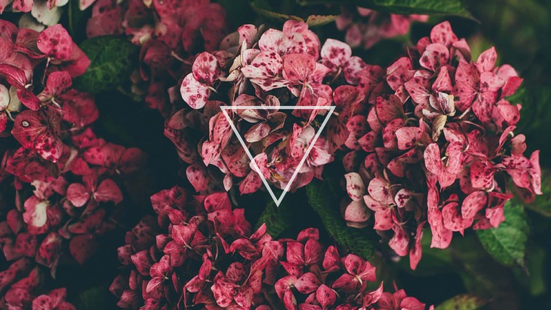 Laptop Wallpaper