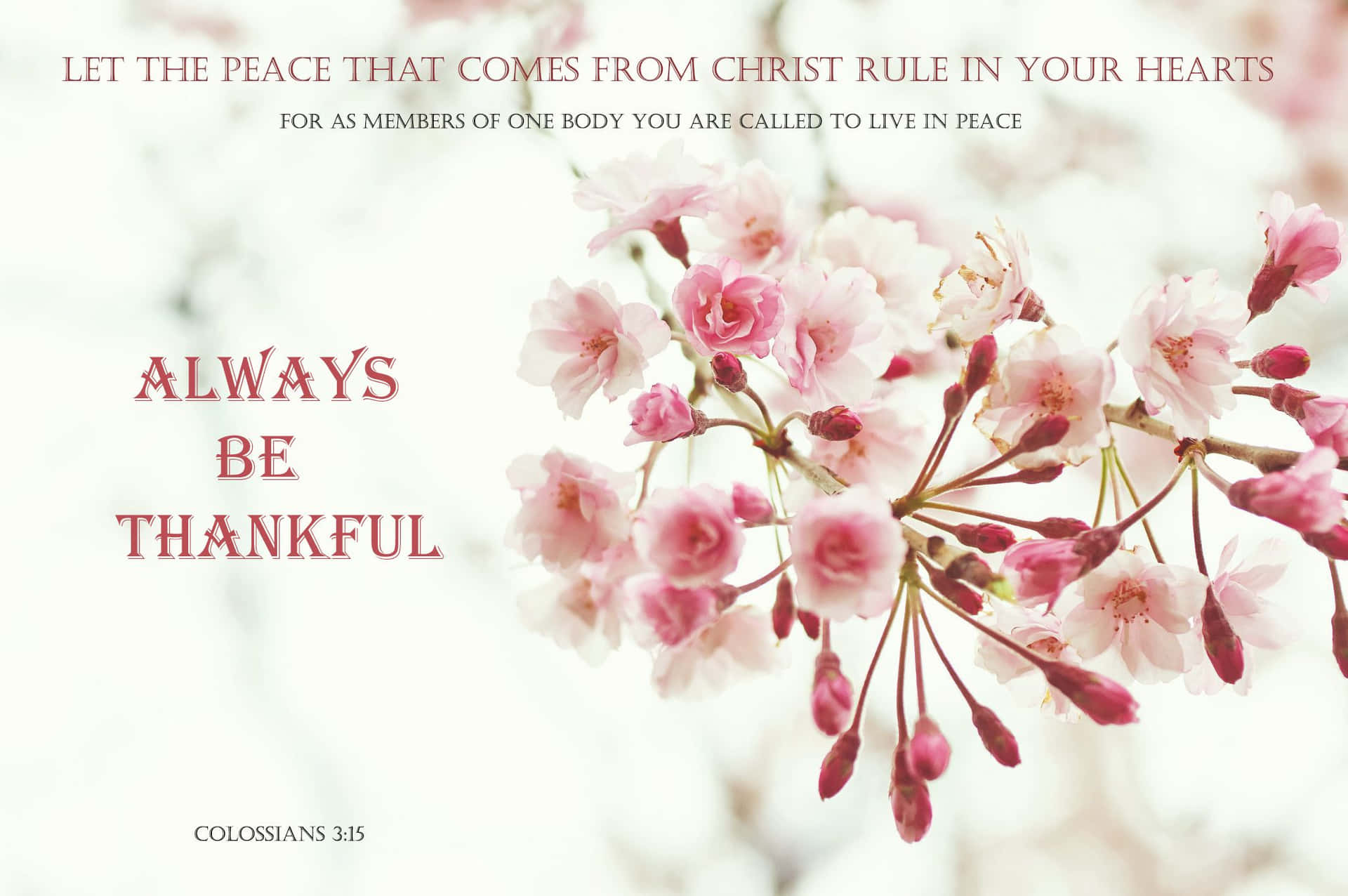 Christian Quotes Wallpaper