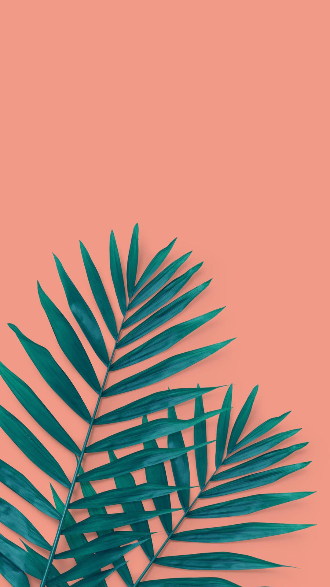 Tropical Palm Leaves Summer iPhone Wallpaper