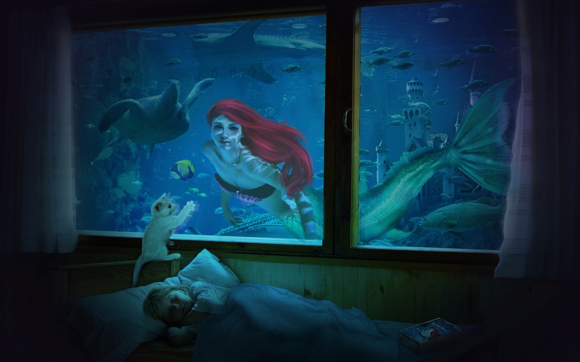 The Little Mermaid Q Wallpaper Background