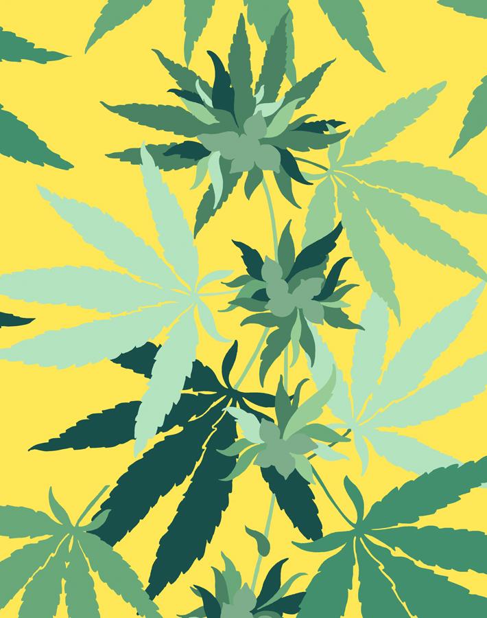 Cannabis Wallpaper Daffodil Wallshoppe