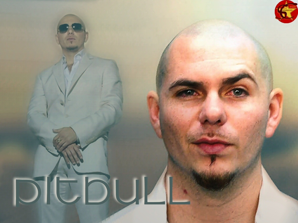 Pitbull Rapper Wallpapers amp Pictures Hd Wallpapers