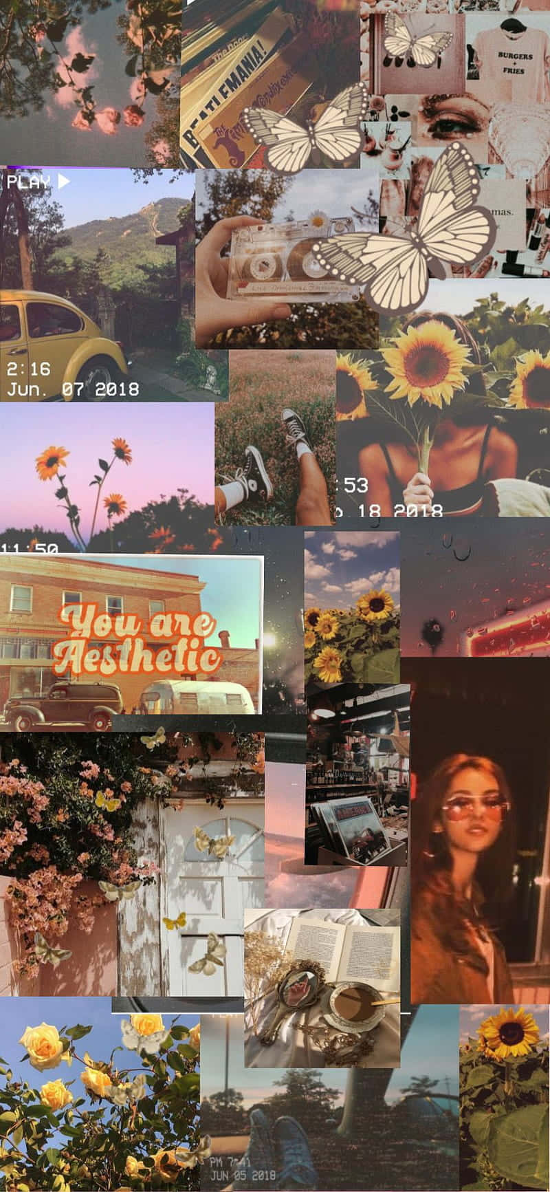 Vintage Girl Aesthetic Wallpaper