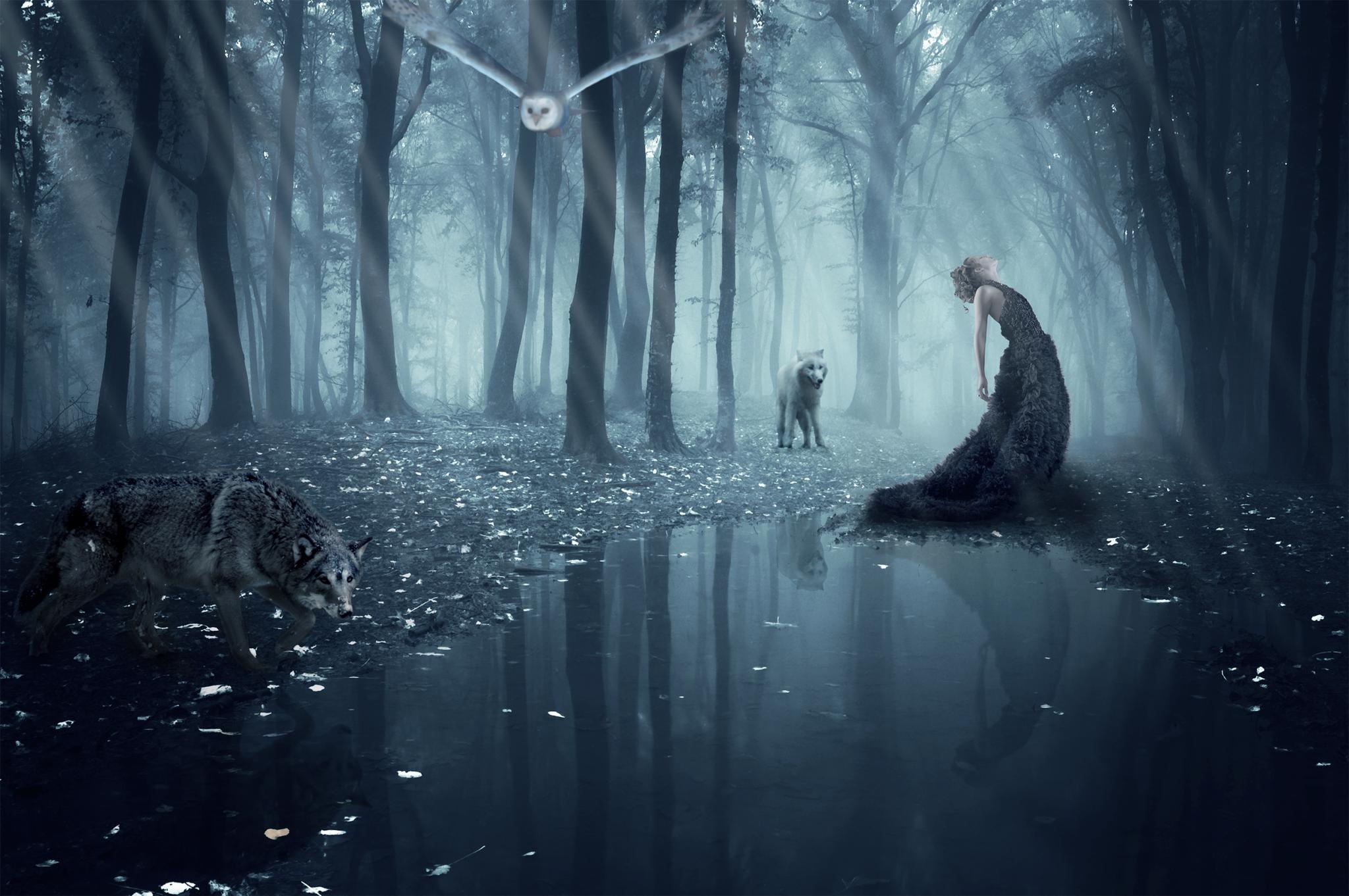Girl Wolf Owl Forest Wolves Gothic Goth Loli Mood Wallpaper Background
