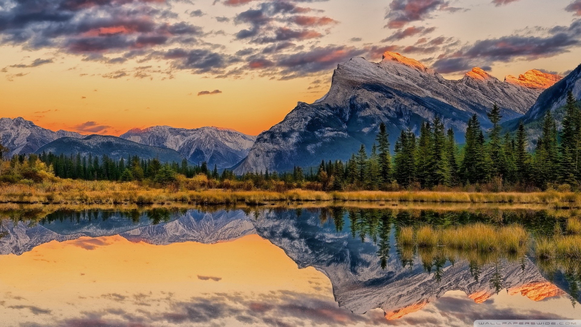 Nature Wallpaper