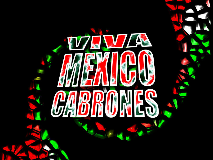 Viva Mexico Cabrones Painting By Jaime Enriquez Fine Art America