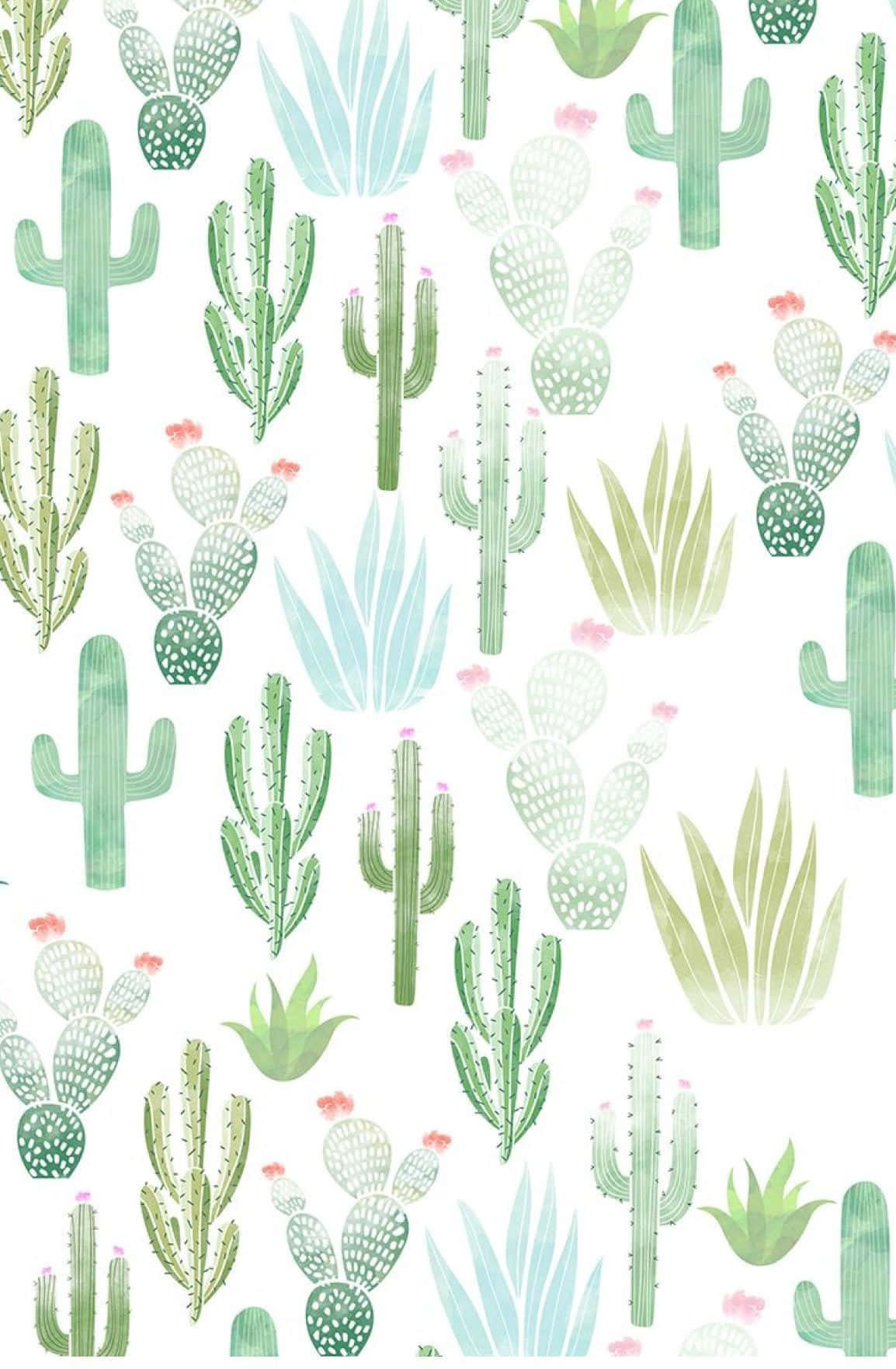 Cactus iPhone Wallpaper