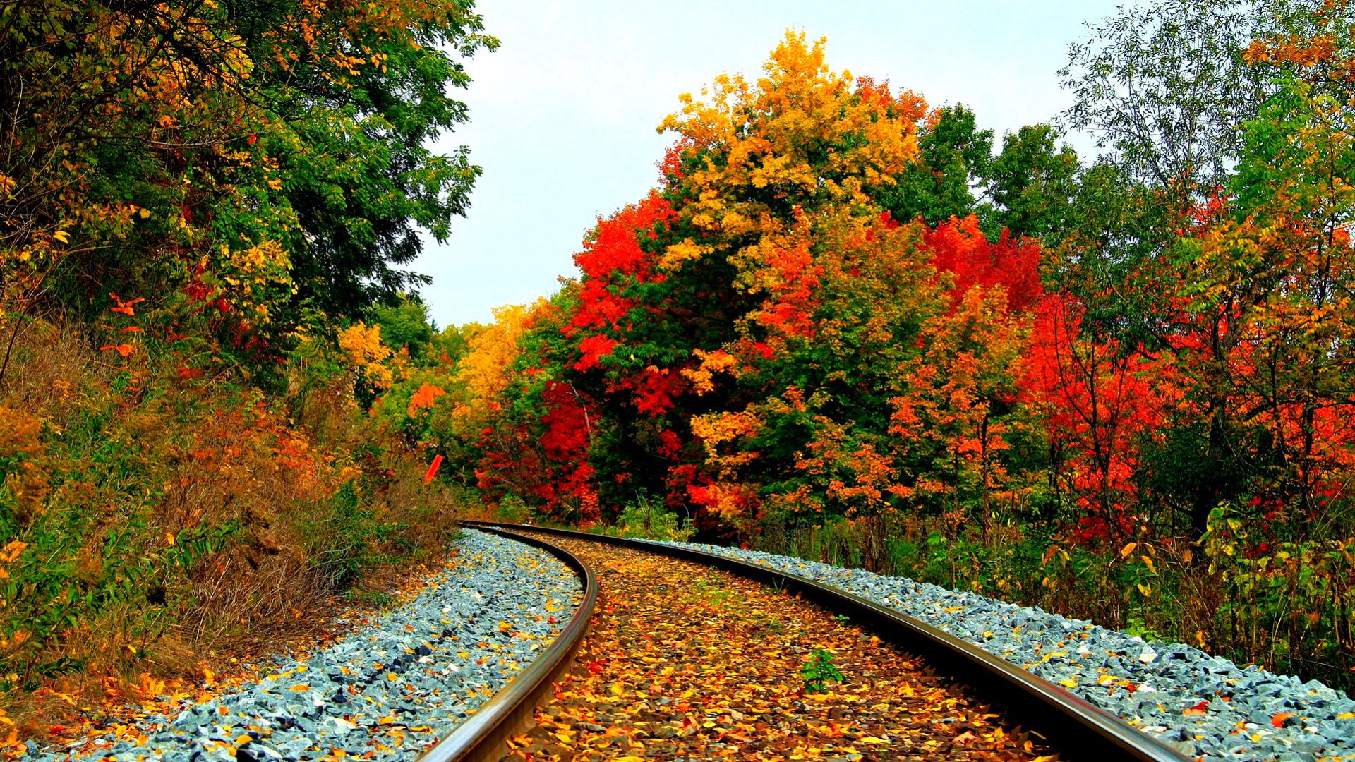 Autumn Wallpaper For Puters Tablets Or Phones