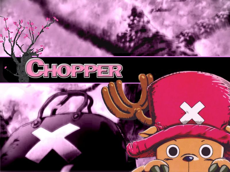 270+ Tony Tony Chopper HD Wallpapers and Backgrounds