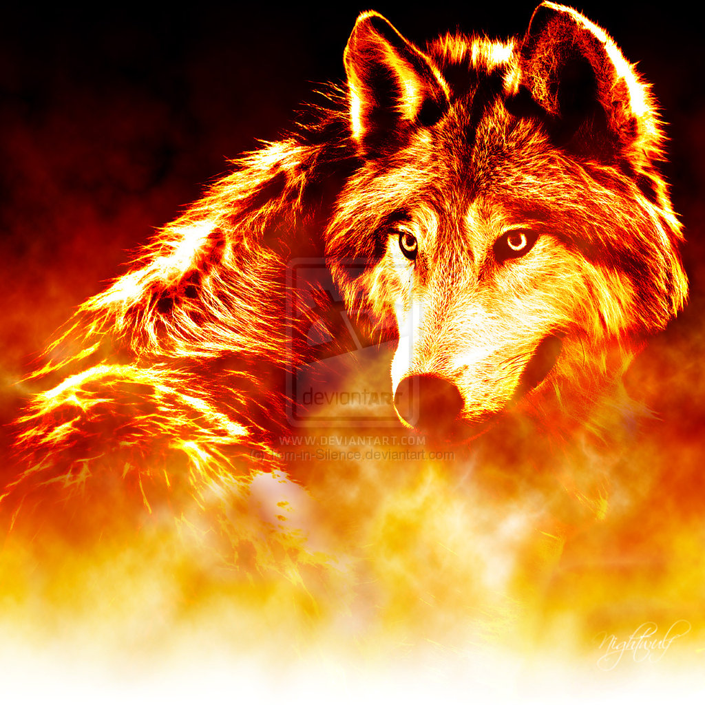 Blue Flame Wolf Wallpaper