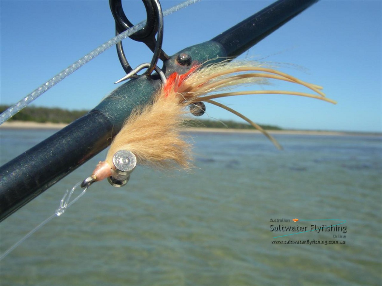 Australian Saltwater Fly Fishing Online