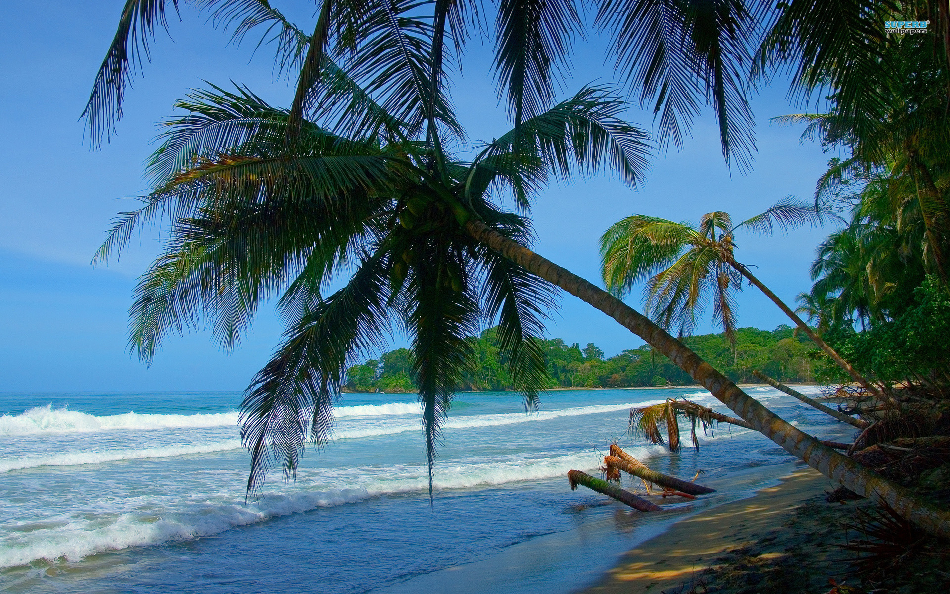 Best Costa Rica Tropical Beaches HD Photo Galeries Wallpaper