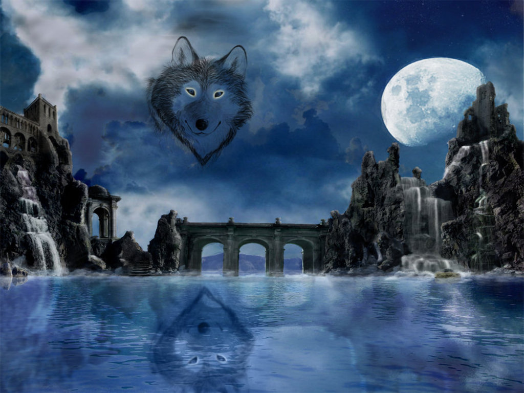 Wolves Image HD Wallpaper And Background