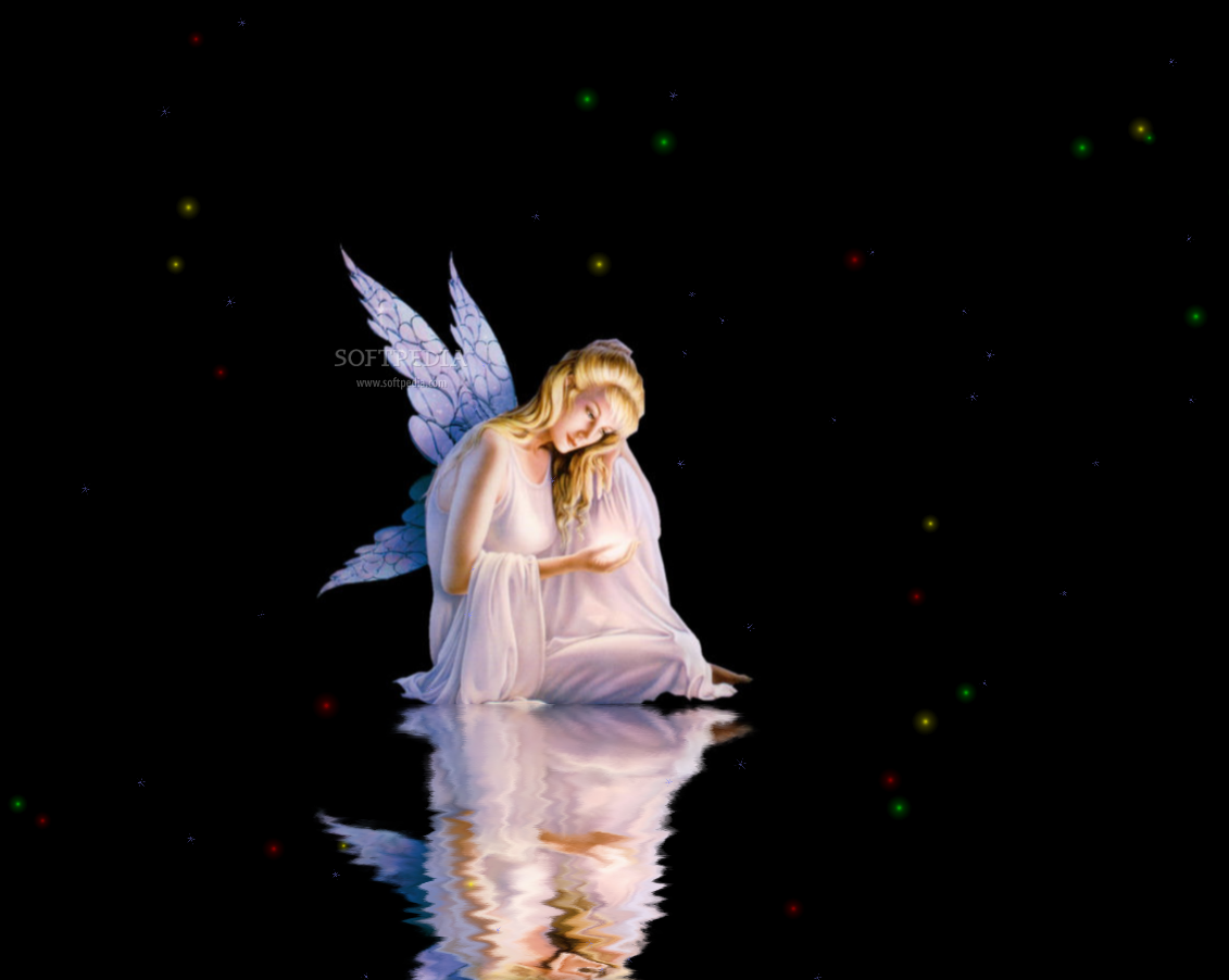Fairy Animated Wallpaper This Is How The Application