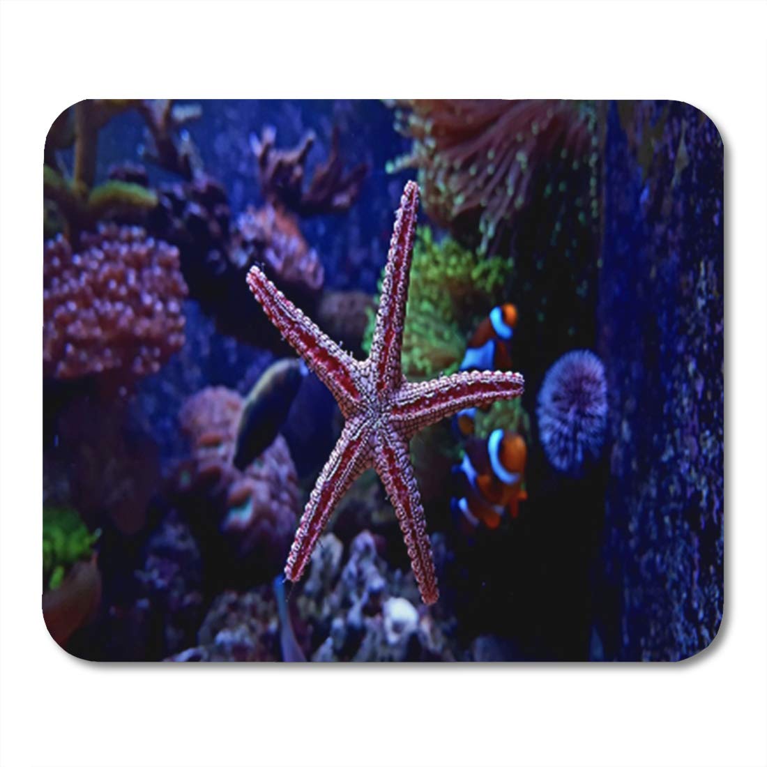 Aquaculture Wallpaper