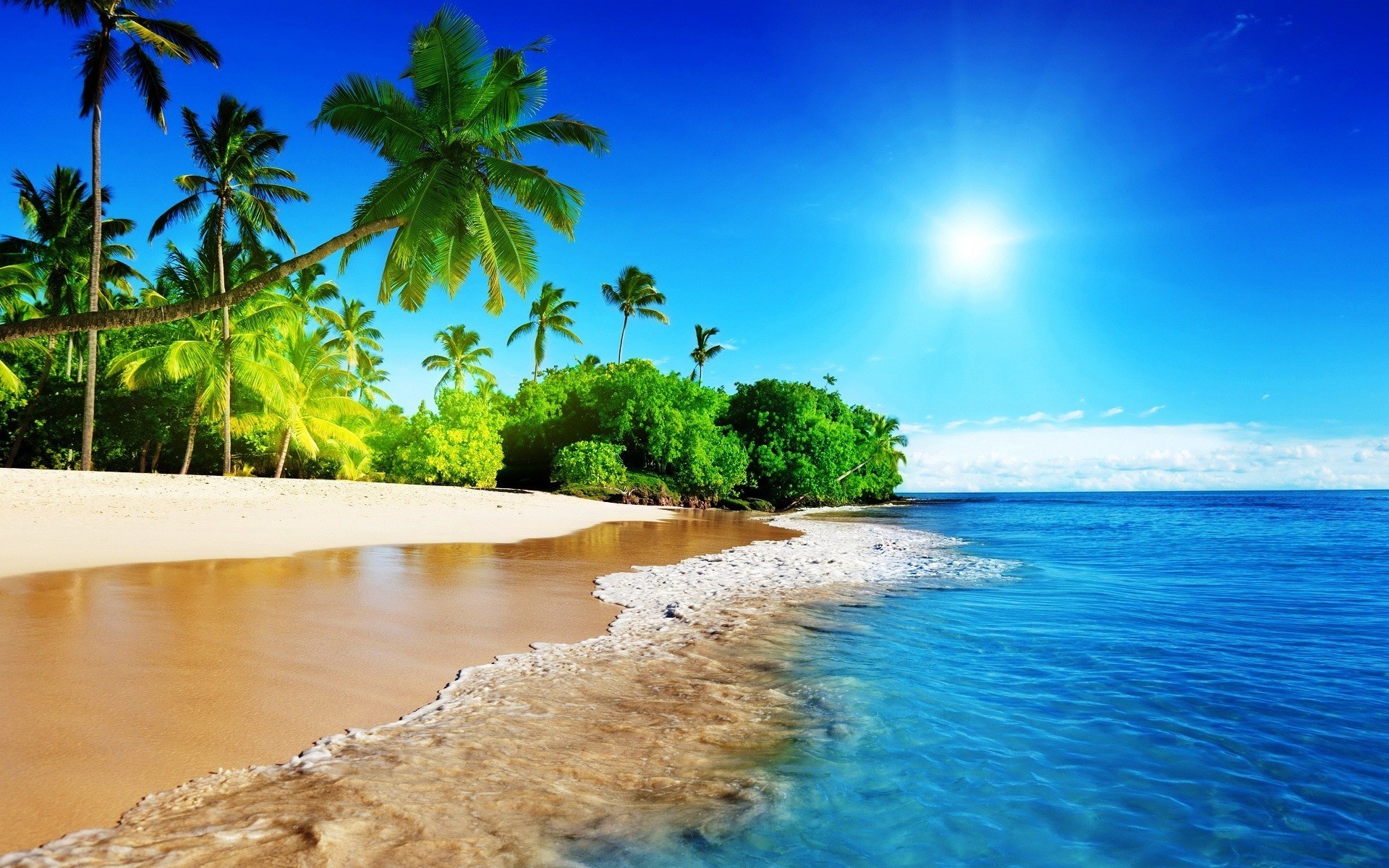 Tropical beach paradise with palm trees, white sand, and crystal-clear blue water under a bright sun