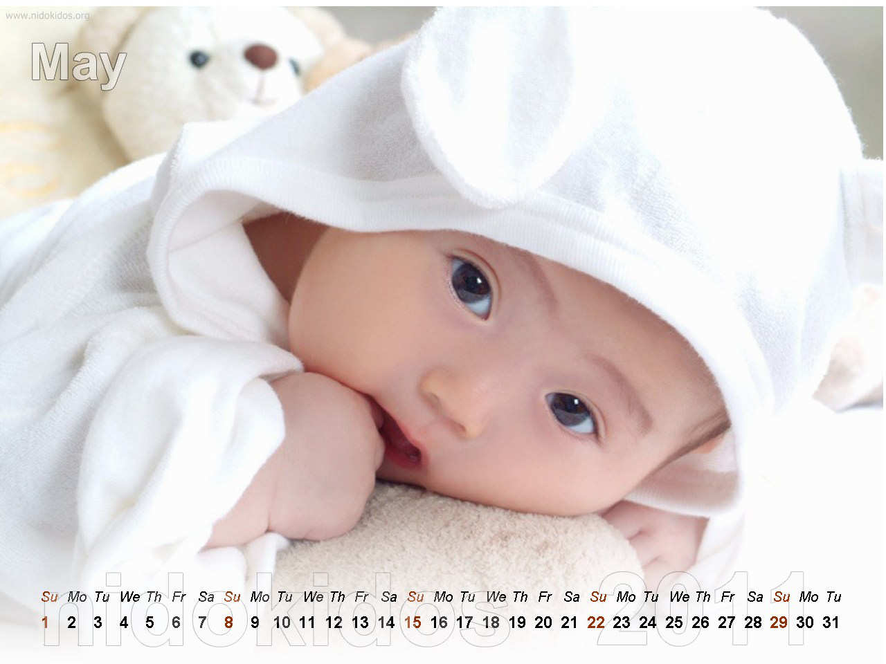 HD Shootz Cute Baby Wallpaper