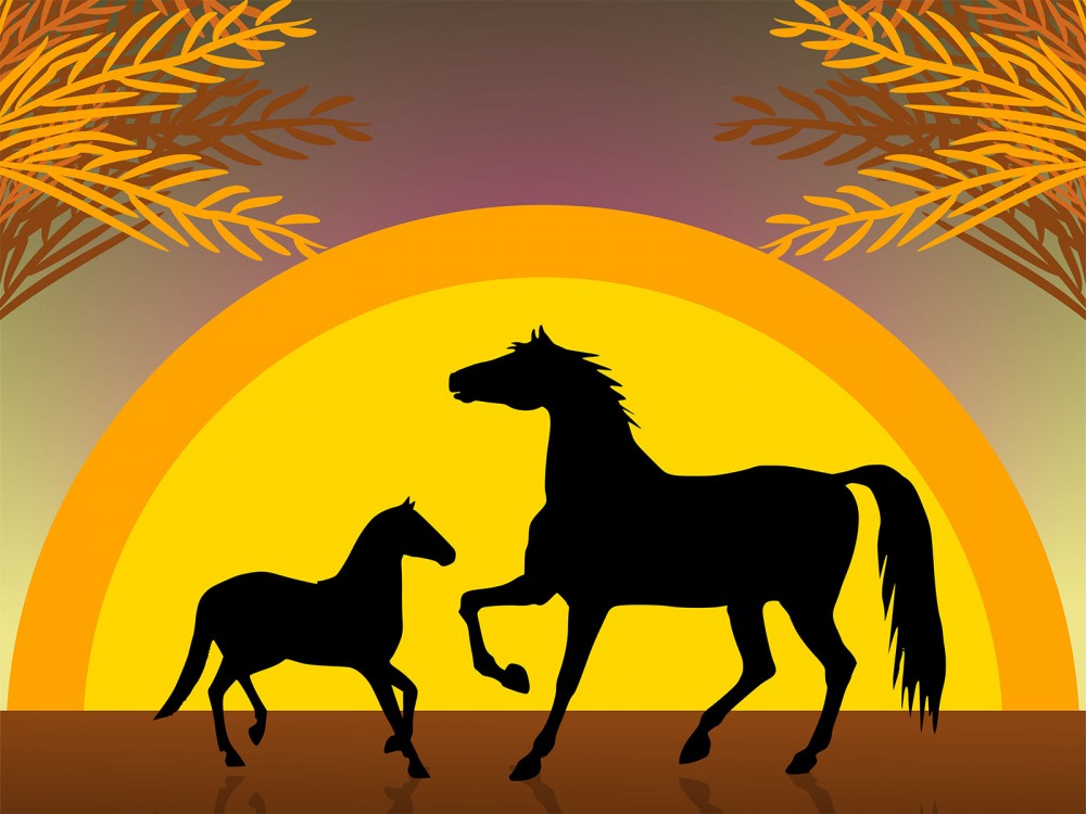 Horses At Sunset Background Animals Templates