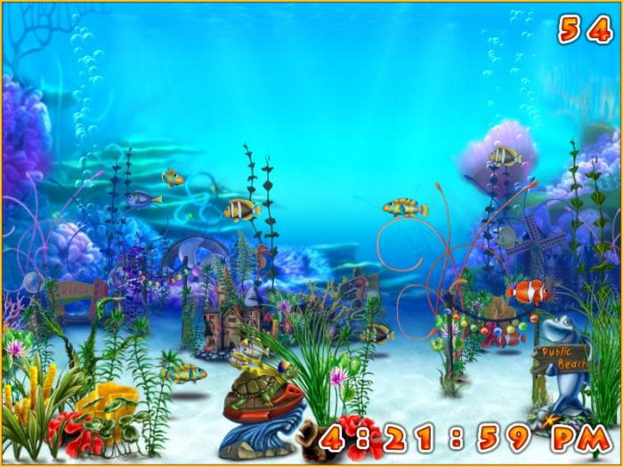 Exotic Aquarium 3d Screensaver Image And Videos