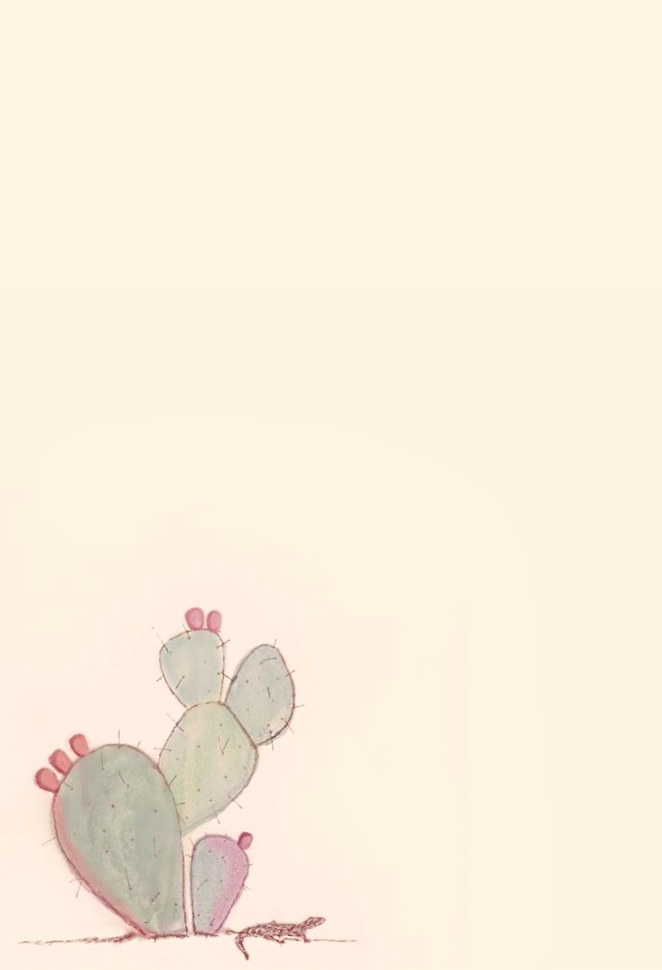 Cactus iPhone Wallpaper