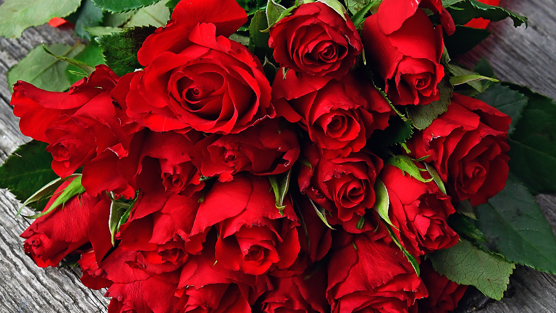 Romantic Red Roses Flowers Wallpaper Full