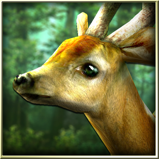 Forest HD Live Wallpaper Android Apps And Games