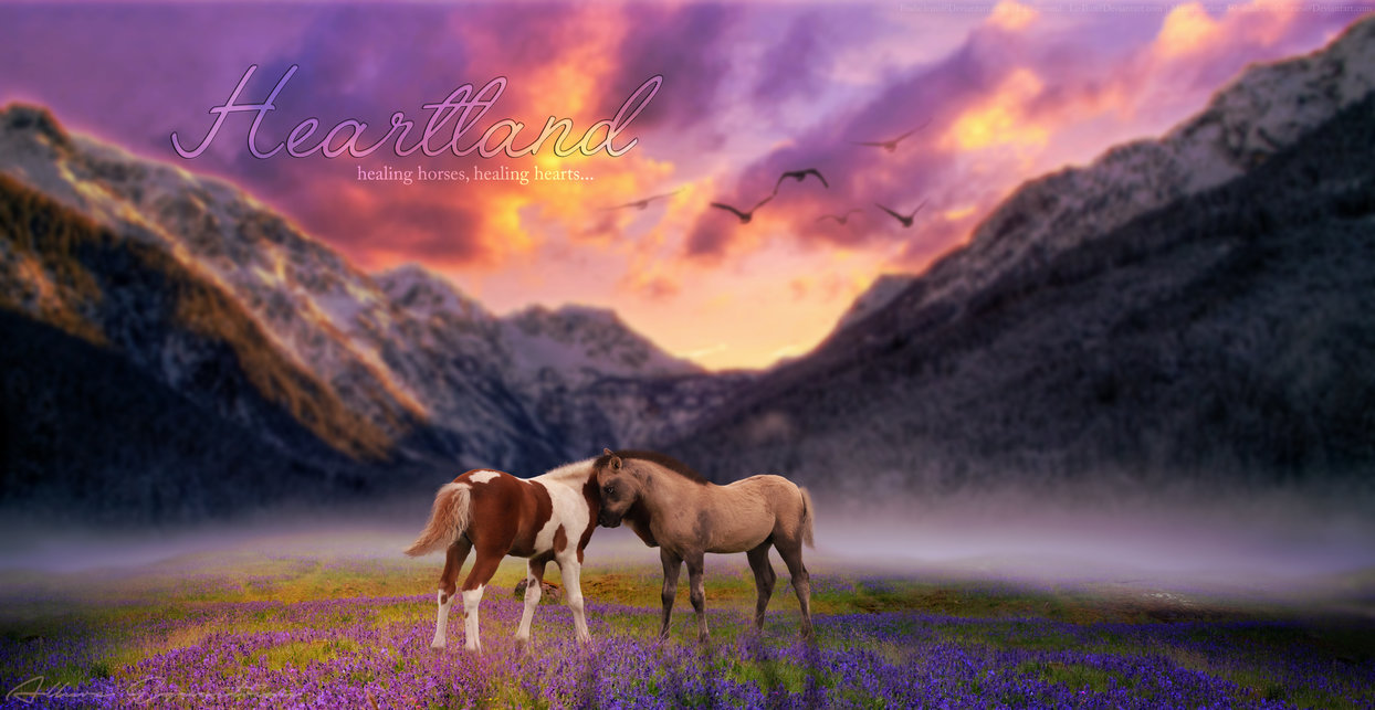 Heartland By Shades Of Horses