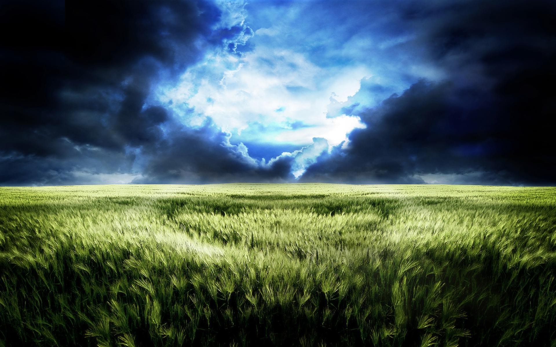 Storm clouds over wheat field wallpaper
